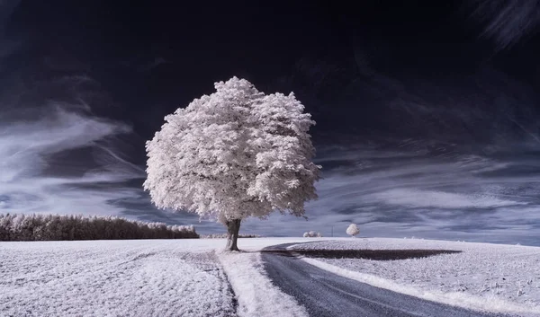 Plano Tonificado Paisaje Llano Con Cielo Nublado —  Fotos de Stock