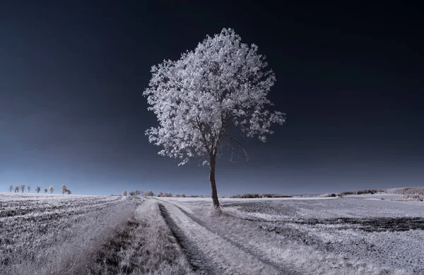 Getönte Aufnahme Einer Flachen Landschaft Mit Bewölktem Himmel — Stockfoto