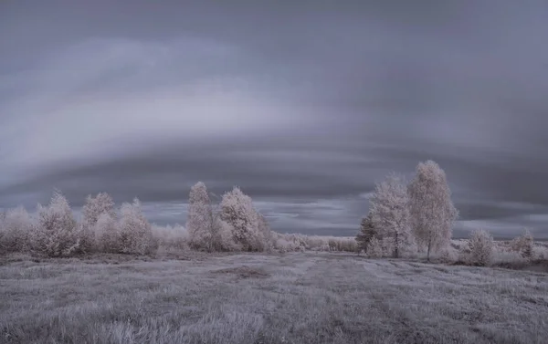 Kızılötesi fotoğrafçılık - gökyüzü altında bulutlu ağaç bulunan manzaranın fotoğrafı - dünyamızın sanatı ve kızılötesi kamera spektrumundaki bitkiler