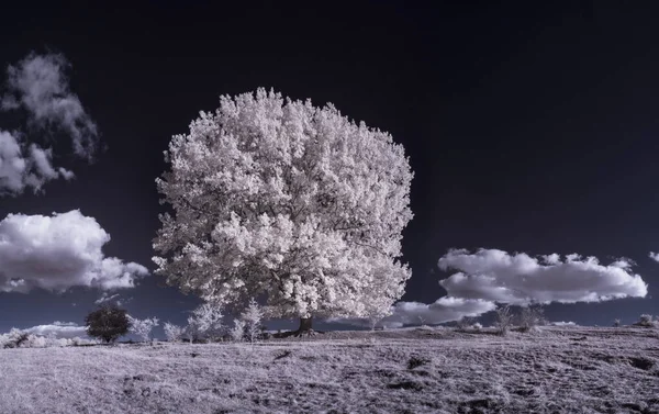 Getönte Aufnahme Einer Flachen Landschaft Mit Blauem Himmel Und Weißen — Stockfoto