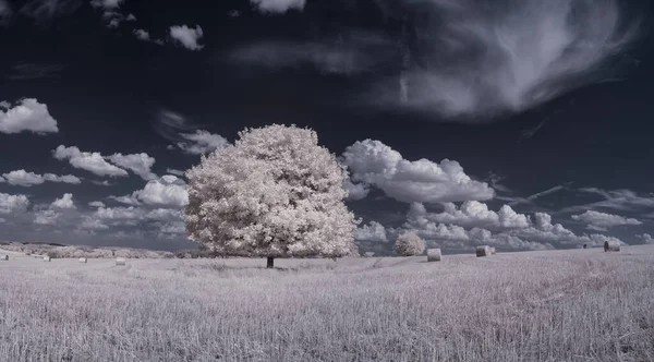 Toned Shot Van Effen Landschap Met Bewolkte Lucht — Stockfoto