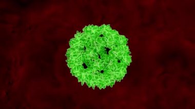 Virüs, animasyon video arkaplanını izole etti 