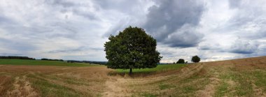 bulutlu bir gökyüzünün altındaki doğal manzara manzarası