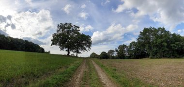 bulutlu bir gökyüzünün altındaki doğal manzara manzarası