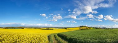 bulutlu bir gökyüzünün altındaki doğal manzara manzarası