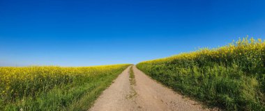 bulutlu bir gökyüzünün altındaki doğal manzara manzarası