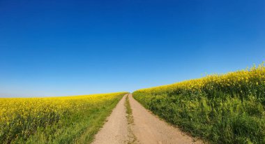 bulutlu bir gökyüzünün altındaki doğal manzara manzarası