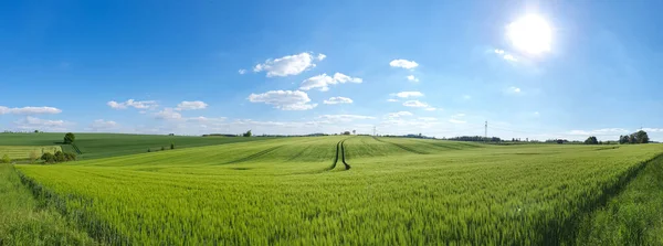 曇り空の下での自然景観のパノラマビュー — ストック写真