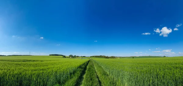 Vista Panorámica Del Paisaje Natural Bajo Cielo Nublado —  Fotos de Stock