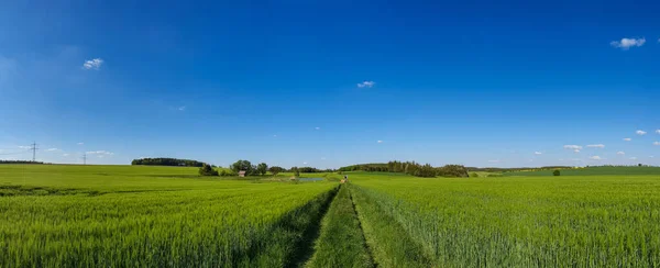 Vista Panorámica Del Paisaje Natural Bajo Cielo Nublado —  Fotos de Stock