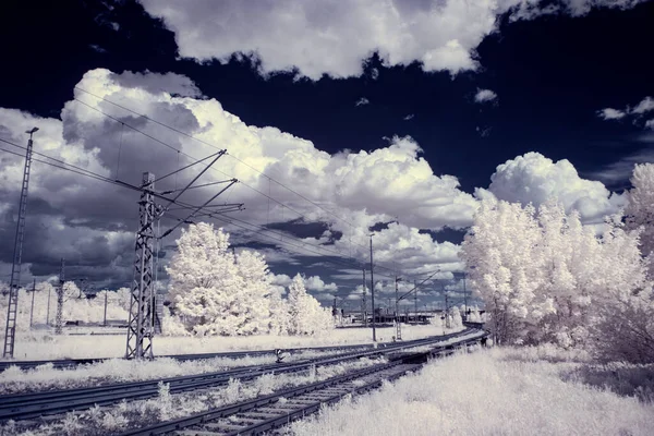 赤外線写真 雲と空の下の木と風景の空気写真 赤外線カメラのスペクトルの世界と植物の芸術 — ストック写真