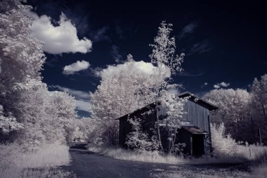 Kızılötesi fotoğrafçılık - gökyüzü altında bulutlu ağaç bulunan manzaranın fotoğrafı - dünyamızın sanatı ve kızılötesi kamera spektrumundaki bitkiler
