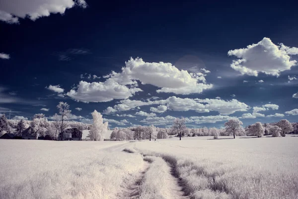 Photographie Infrarouge Photo Paysage Avec Arbre Sous Ciel Avec Des — Photo