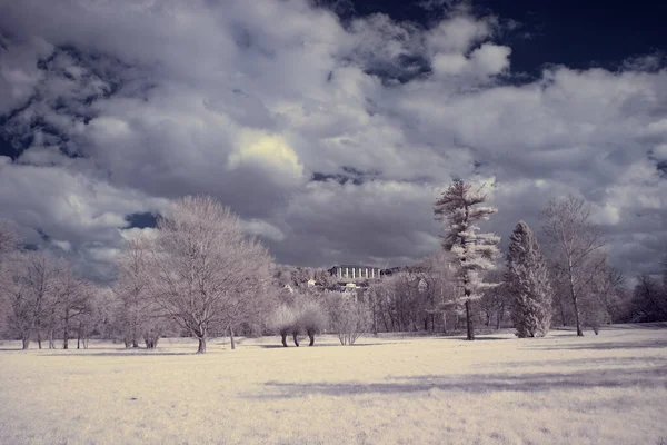 Infrarot Fotografie Foto Von Landschaft Mit Baum Unter Himmel Mit — Stockfoto