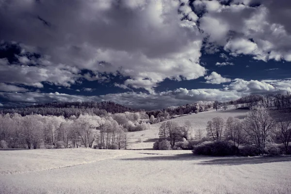 Fotografia Infravermelha Foto Paisagem Com Árvore Sob Céu Com Nuvens — Fotografia de Stock