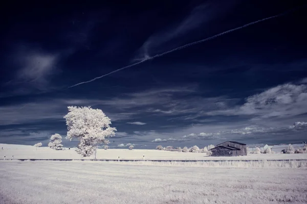 Fotografi Inframerah Foto Lanskap Dengan Pohon Bawah Langit Dengan Awan — Stok Foto