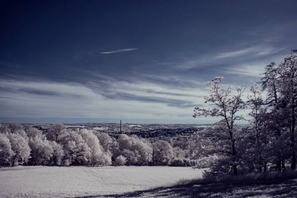 Infračervená Fotografie Fotografie Krajiny Stromem Pod Oblohou Mraky Umění Našeho — Stock fotografie