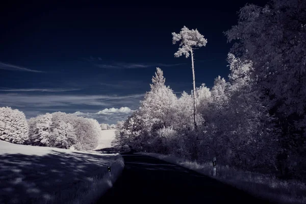 Photographie Infrarouge Photo Paysage Avec Arbre Sous Ciel Avec Des — Photo