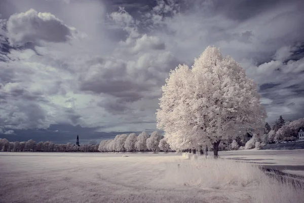 Infrarotfotografie Surreale Landschaftsaufnahmen Mit Bäumen Unter Wolkenverhangenem Himmel Die Kunst — Stockfoto