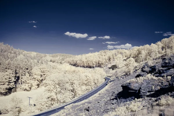 Fotografia Infrarossi Surreale Foto Paesaggio Con Alberi Sotto Cielo Nuvoloso — Foto Stock