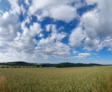 bulutlu bir gökyüzünün altındaki doğal manzara manzarası