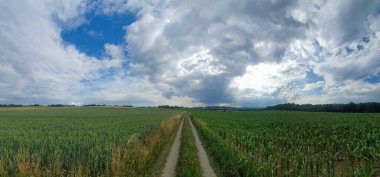 bulutlu bir gökyüzünün altındaki doğal manzara manzarası