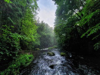 bulutlu bir gökyüzünün altındaki doğal manzara manzarası