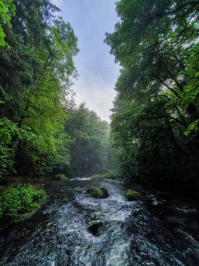 bulutlu bir gökyüzünün altındaki doğal manzara manzarası