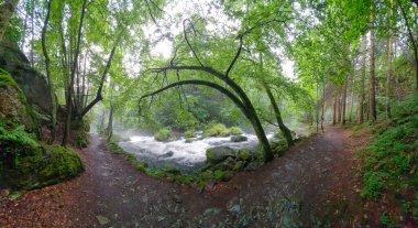 bulutlu bir gökyüzünün altındaki doğal manzara manzarası