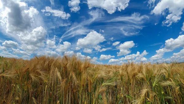 Festői Panoráma Kilátás Természeti Táj Alatt Felhős — Stock Fotó