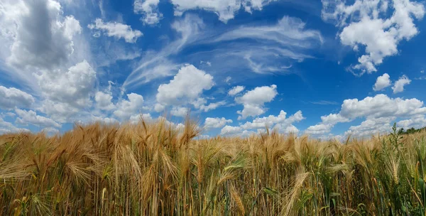 Festői Panoráma Kilátás Természeti Táj Alatt Felhős — Stock Fotó