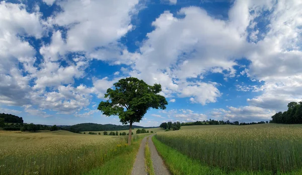 Malebný Panorama Pohled Přírodní Krajinu Pod Zataženou Oblohou — Stock fotografie