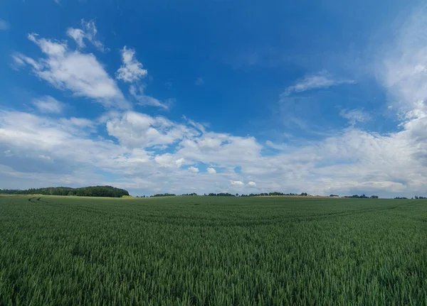 曇り空の下での自然景観のパノラマビュー — ストック写真