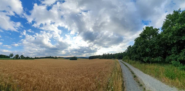 Panoramablick Auf Die Naturlandschaft Unter Bewölktem Himmel — Stockfoto