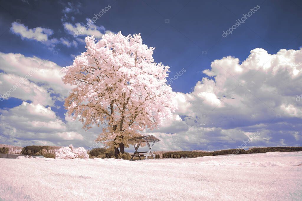 infrared photography - surreal ir photo of landscape with trees under cloudy sky - the art of our world and plants in the invisible infrared camera spectrum