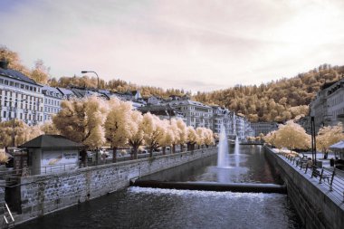 Kızılötesi fotoğrafçılık - bulutlu gökyüzü altındaki ağaçlarla gerçek üstü bir manzara fotoğrafı - dünyamızın sanatı ve görünmez kızılötesi kamera spektrumundaki bitkiler