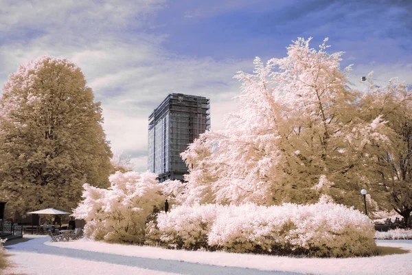 Infrared Photography Surreal Photo Landscape Trees Cloudy Sky Art Our Stock Photo