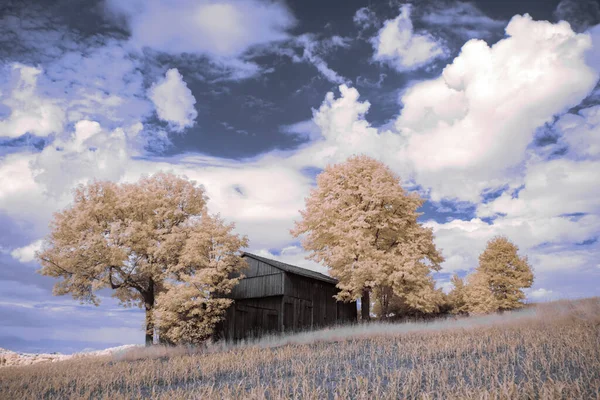 Fotografia Infravermelha Foto Surreal Paisagem Com Árvores Sob Céu Nublado — Fotografia de Stock