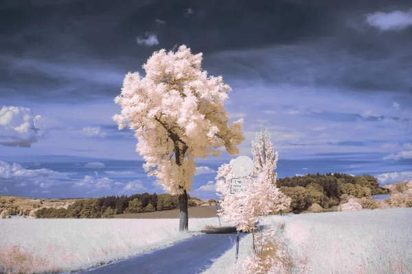 Infraröd Fotografi Surrealistiskt Foto Landskap Med Träd Molnig Himmel Konsten — Stockfoto