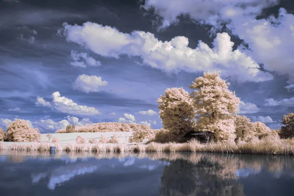 Infrarood Fotografie Surrealistisch Irfoto Van Landschap Met Bomen Onder Bewolkte — Stockfoto