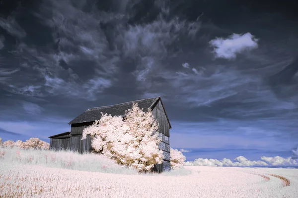 Fotografia Infravermelha Foto Surreal Paisagem Com Árvores Sob Céu Nublado — Fotografia de Stock