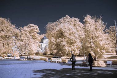 Kızılötesi fotoğrafçılık - bulutlu gökyüzü altındaki ağaçlarla gerçek üstü bir manzara fotoğrafı - dünyamızın sanatı ve görünmez kızılötesi kamera spektrumundaki bitkiler