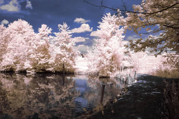 Fotografia Infravermelha Foto Surreal Paisagem Com Árvores Sob Céu Nublado — Fotografia de Stock