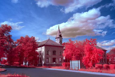 Bitkilerin ve ağaçların koyu kırmızı tonlarda parladığı rüya gibi bir manzaranın çarpıcı kızılötesi fotoğrafı. Sahte renk kızılötesi teknik yaratıcı tasarım, fantezi sanatı veya kavramsal projeler için mükemmel bir gerçeküstü, ruhani atmosfer yaratır..