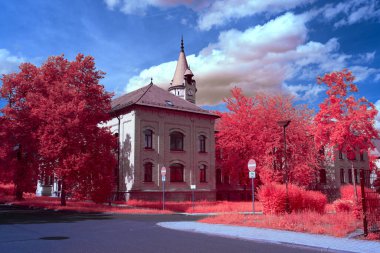 Bitkilerin ve ağaçların koyu kırmızı tonlarda parladığı rüya gibi bir manzaranın çarpıcı kızılötesi fotoğrafı. Sahte renk kızılötesi teknik yaratıcı tasarım, fantezi sanatı veya kavramsal projeler için mükemmel bir gerçeküstü, ruhani atmosfer yaratır..