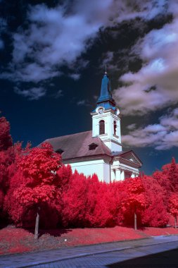 Bitkilerin ve ağaçların koyu kırmızı tonlarda parladığı rüya gibi bir manzaranın çarpıcı kızılötesi fotoğrafı. Sahte renk kızılötesi teknik yaratıcı tasarım, fantezi sanatı veya kavramsal projeler için mükemmel bir gerçeküstü, ruhani atmosfer yaratır..