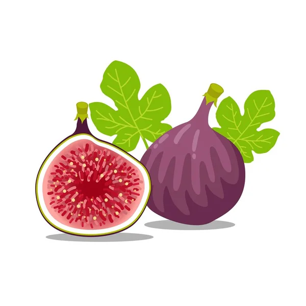 Illustration Vectorielle Figues Fraîches Demi Coupées Sur Fond Blanc Isolé — Image vectorielle