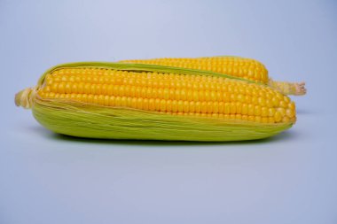 Taze mısır veya mısır beyaz arkaplanda izole edilmiş