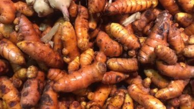 Markette çiğ ve taze bir zerdeçal. Görüntüler taranıyor. 