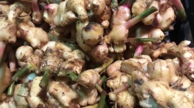 Markette çiğ ve taze bir galangal. Görüntüler taranıyor. 